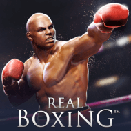 logo Real Boxing