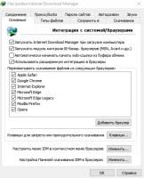 скриншот Internet Download Manager