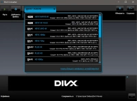 скриншот DivX Codec Pack